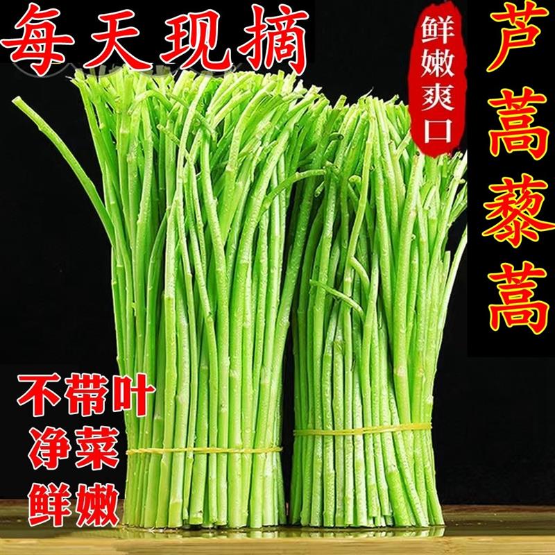 芦蒿新鲜蔬菜3斤泥蒿去叶藜蒿净菜野菜鲜嫩蓠蒿现摘现发黎蒿