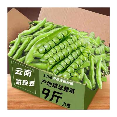 现摘新鲜豌豆10斤带壳青豆角粒云南应当季农家蔬菜甜豆荚整箱包邮