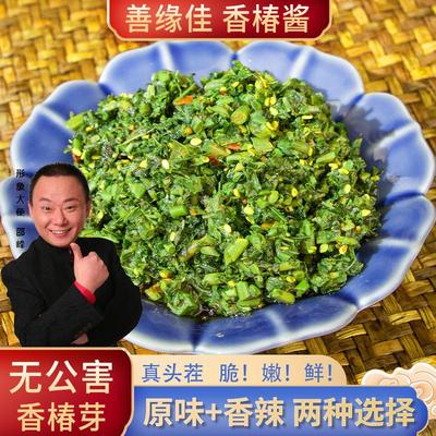 香椿芽辣椒酱山东特产素食酱下饭菜拌面拌饭五香香椿酱