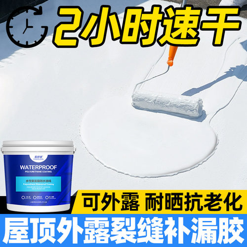 屋顶防水补漏涂料卷材楼顶房顶堵漏王平房裂缝漏水液体材料防漏胶 - 封面