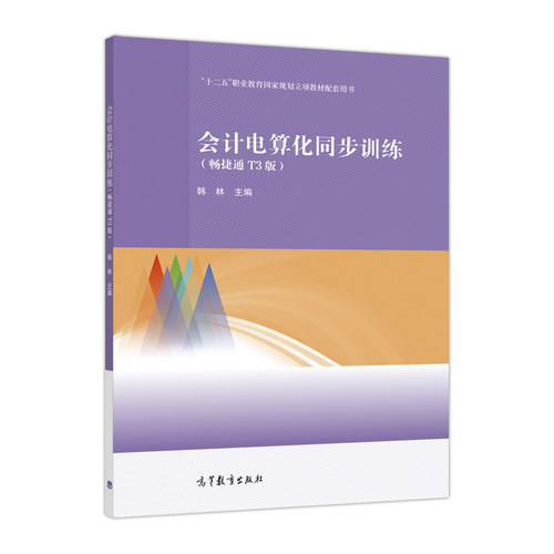 会计电算化同步训练高教