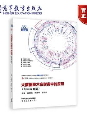 大数据技术在财务中的应用（Power BI版） 高翠莲 乔冰琴  谢计生 高等教育出版社