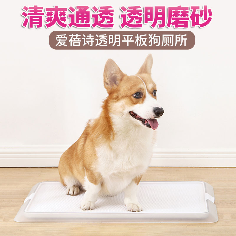 爱蓓诗狗狗厕所透明款大号柯基博美泰迪狗便盆尿盆超大平板犬用