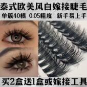 泰式 欧美亚裔自嫁接假睫毛女40D单簇分段式 朵毛浓密卷翘适合新手