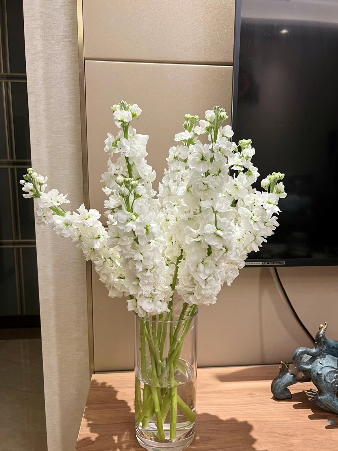 【全店两件包邮】紫罗兰好养家庭水养鲜切花云南昆明发货