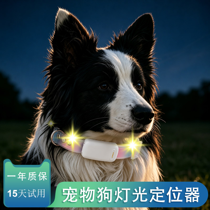 宠物狗狗GPS北斗防水灯光定位器