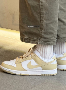 Nike耐克Dunk Low Retro白绿男子复古低帮运动休闲板鞋DV0833-101