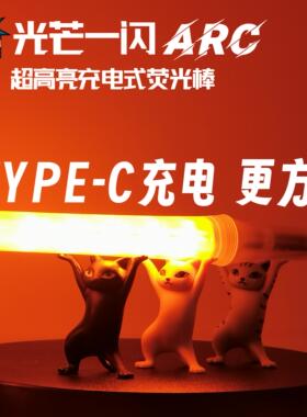 天毅家 光芒一闪ARC超高亮wota艺应援LED电子荧光棒LUMICA充电款