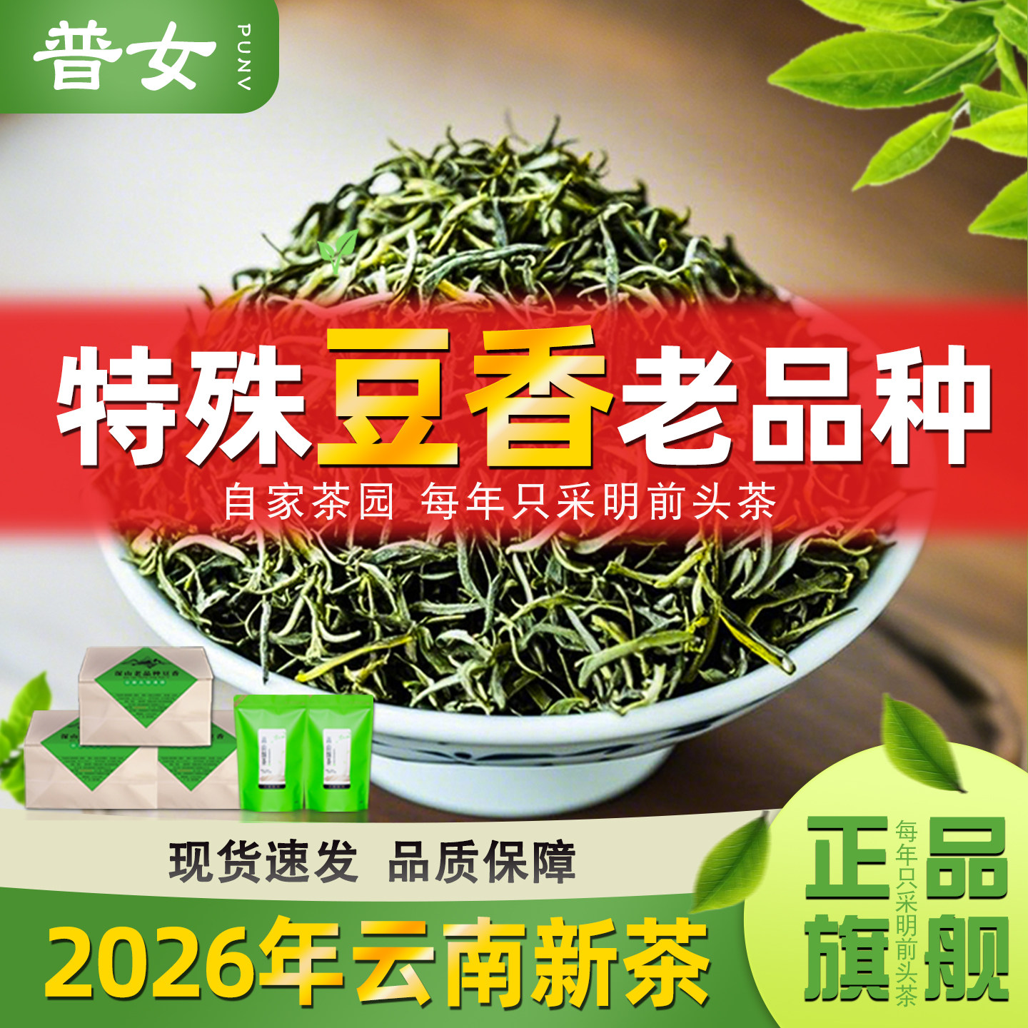 【云南老品种爆款豆香】2026新茶云南豆香绿茶明前绿茶正宗特级
