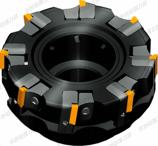 正品株洲90度面铣刀盘FMP01-315-D60-TP22-20 TPKN2204PDSKR