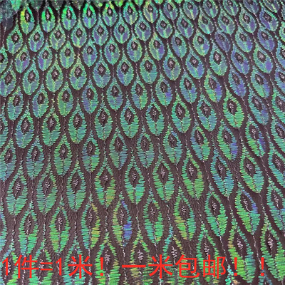 蕾丝网纱服装幻彩孔雀配饰