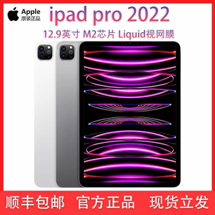 2022pro2021 11英寸12.9 13英寸平板电脑 苹果iPadPro2024款 Apple