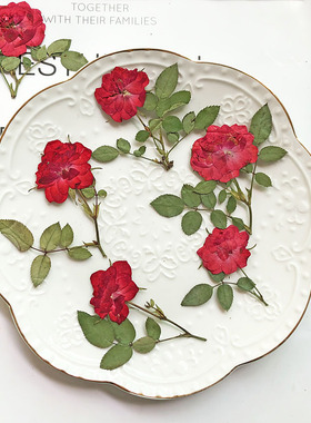 带枝正压大红玫瑰 干花压花植物标本DIY相框书签贺卡香薰蜡烛押花