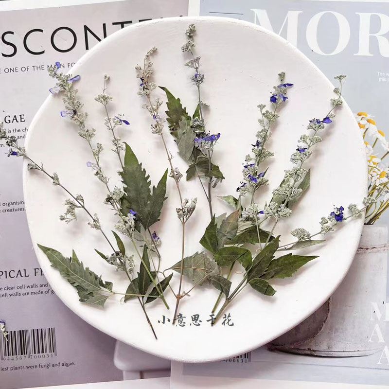 天然干花薰衣草装饰摆件