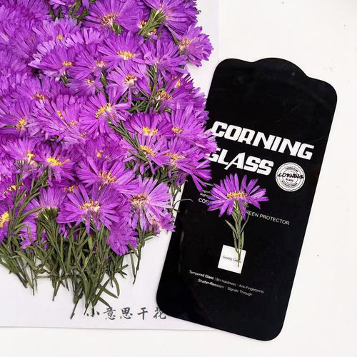 小意思干花压花滴胶干花