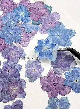 小意思干花压花自然色绣球