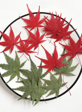 天然枫叶干花小意思鸡尾酒装饰