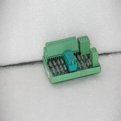 TRICONEX D06603数字输 电源模块