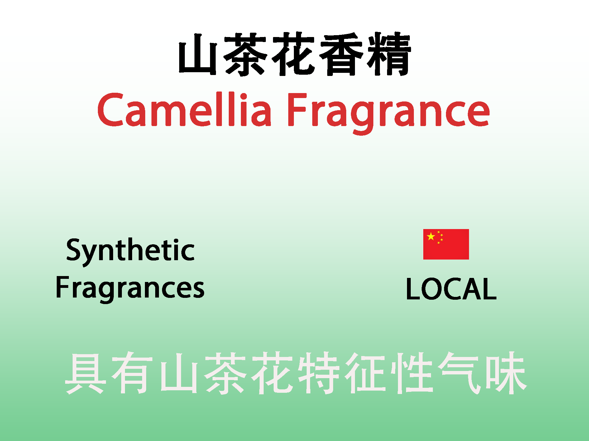 山茶花香精 Camellia Fragrance香水香料