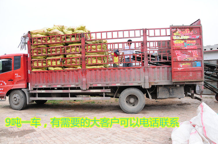 发物流专用（发到市区，需要自提。送货需要送货费）