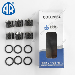 AR超高压洗车机水泵进出水阀RG15.28/24.15原装专用单向阀门配件