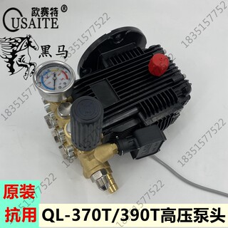 欧赛特黑马QL-370T/390T高压洗车机刷车机配件机头水泵总成自动枪