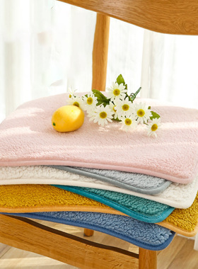 办公室久坐加厚羊羔绒椅子坐垫秋冬款简约现代防滑毛绒久坐屁股垫