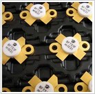 （三极管）CD009 高频场效应功率晶体管  正品 拍前请询价