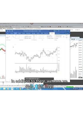 wyckoff dvid  wes 一对一培训1a2集 中文字i幕