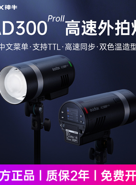 【二代升级】Godox神牛AD300proII外拍闪光灯口袋灯补光灯摄影灯便携300W户外单反高速同步TTL测光锂电闪光灯