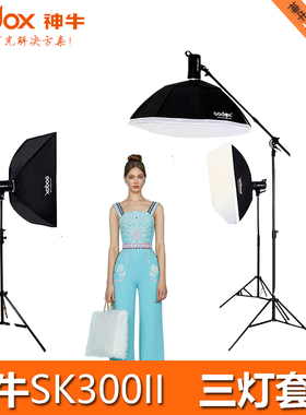 神牛SK300II影室闪光灯三灯套装人像摄影器材拍照柔光摄影灯