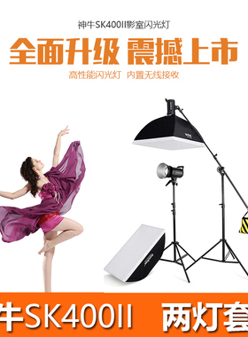 神牛SK400II闪光灯影室灯摄影灯两灯套装摄影棚补光灯柔光灯
