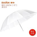 闪光灯影楼伞 影楼伞 摄影棚柔光器具柔光棚 75寸柔光伞 神牛