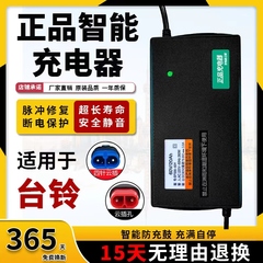 适用台铃电动车电瓶车充电器48V12AH60V20AH72V30A正品新国标快充