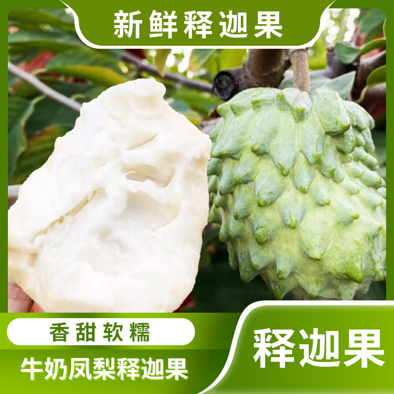 云南新鲜牛奶凤梨释迦果高原大目番荔枝佛头牟摩尼果现摘水果孕妇图片
