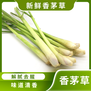 新鮮香茅草帶桿葉檸檬奶茶傣味道解膩去腥泰國冬陰功調(diào)湯香料食用