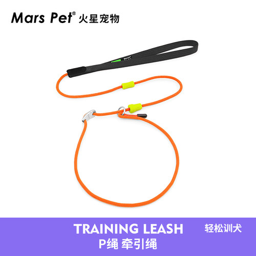 BeauGo训犬p绳p链牵引绳大型犬狗绳小型犬牵引绳宠物小狗狗牵引绳