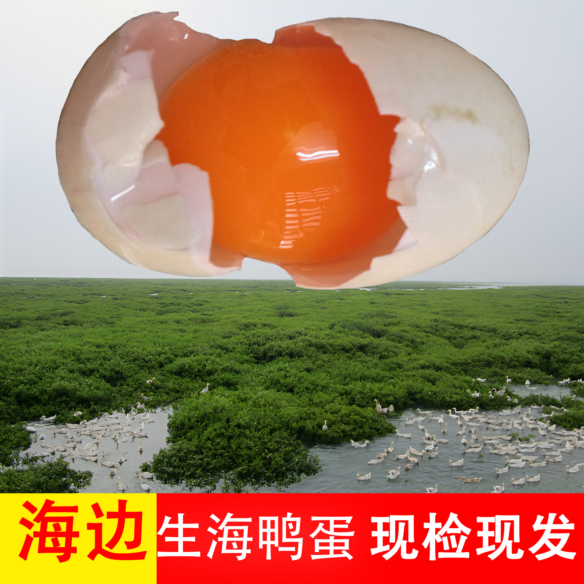 陈伟 还珠湾30枚新鲜生海鸭蛋 北海散养红矮树林红心青壳海鸭蛋