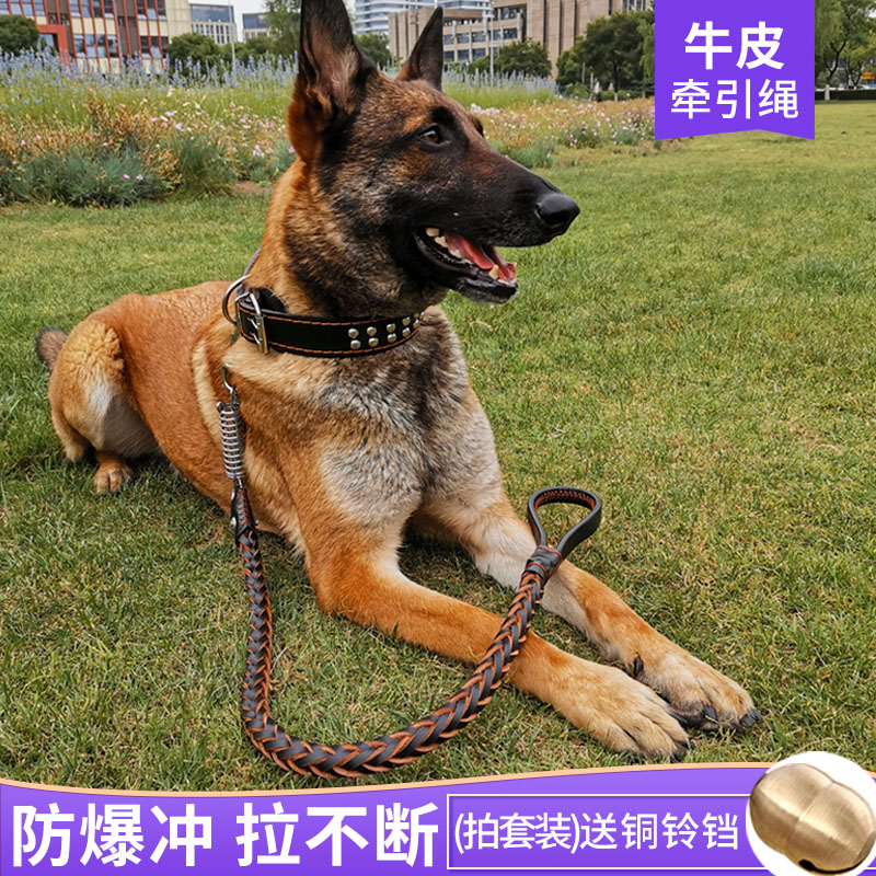 狗狗牵引绳牛皮中大型犬马犬拉布拉多金毛遛狗绳子狗链子项圈用品-封面