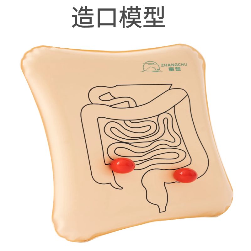 章楚造口模型造瘘护理教学模型