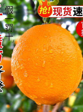 正宗赣南脐橙江西赣州橙子新鲜天然甜水果装产地直发华寻乌脐橙
