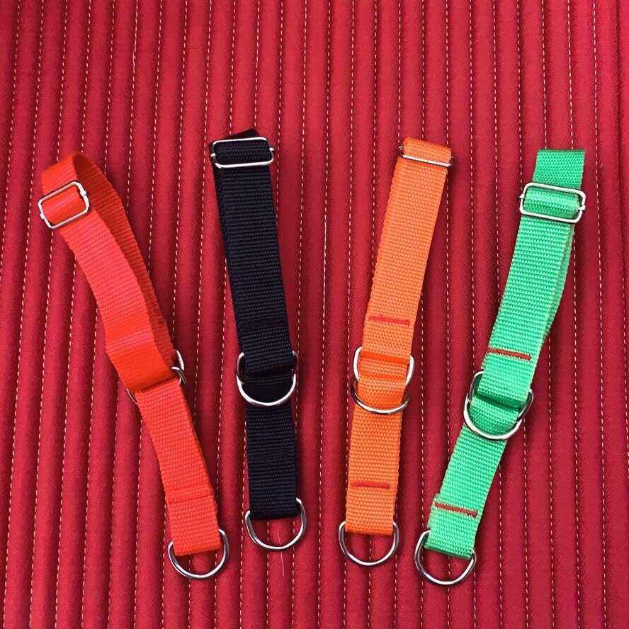 细狗脖套一拉紧可调大中小狗通用