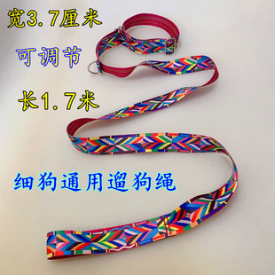 格力犬可调节一体遛狗绳猎犬惠比特2特牵引绳大中小狗通用加宽新