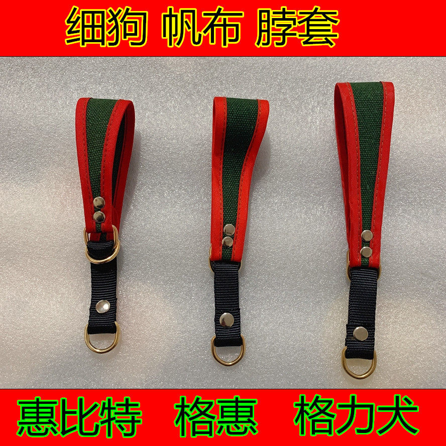 小狗狗项圈格力犬脖圈