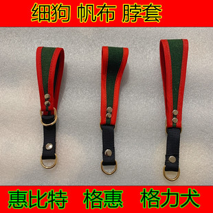 格力犬帆布一拉紧脖套惠比特犬项圈大中小狗狗猎犬灵缇脖圈细狗串