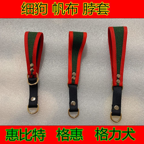 小狗狗项圈格力犬脖圈