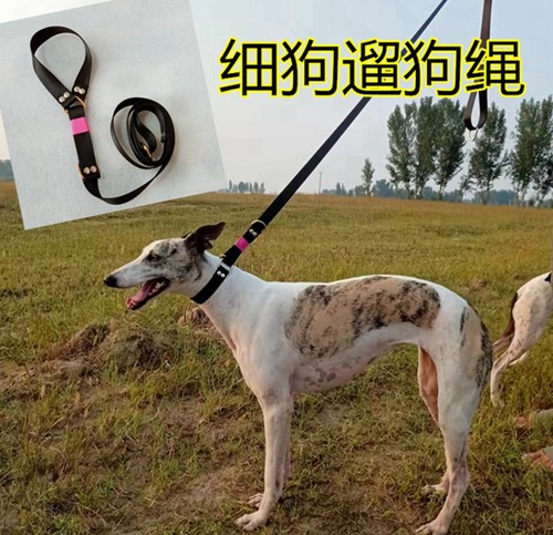 格力犬遛狗绳惠比特犬一体牵引绳