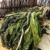 东北干白菜延边特产朝鲜族小白菜干农产品干货蘸酱菜韩式 大酱汤菜