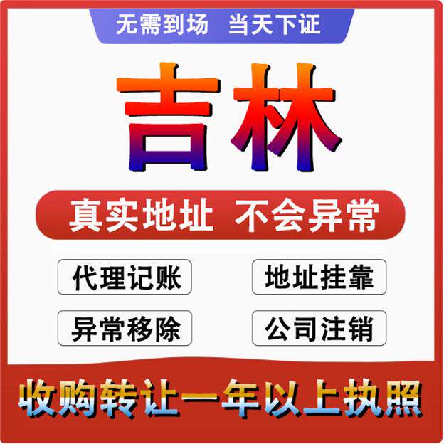吉林龙潭船营丰满舒兰公司个体户 注册代账变更注销 营业执照减资 - 实物图