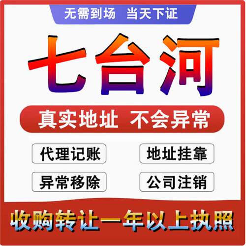 七台河新兴桃山勃利公司个体户注册代账变更注销营业执照减资地址